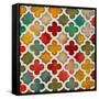 Color Burst Lattice I-Lanie Loreth-Framed Stretched Canvas