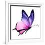 Color Butterfly Flying-suns_luck-Framed Art Print