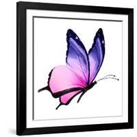 Color Butterfly Flying-suns_luck-Framed Art Print