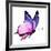 Color Butterfly Flying-suns_luck-Framed Art Print