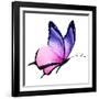 Color Butterfly Flying-suns_luck-Framed Art Print