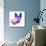 Color Butterfly Flying-suns_luck-Mounted Art Print displayed on a wall