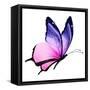 Color Butterfly Flying-suns_luck-Framed Stretched Canvas