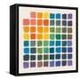 Color Chart-Wild Apple Portfolio-Framed Stretched Canvas