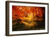 Color Combination-Philippe Sainte-Laudy-Framed Photographic Print