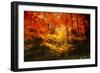 Color Combination-Philippe Sainte-Laudy-Framed Photographic Print