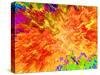 Color Detonation-Ruth Palmer 3-Stretched Canvas