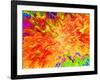 Color Detonation-Ruth Palmer 3-Framed Art Print