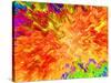 Color Detonation-Ruth Palmer 3-Stretched Canvas