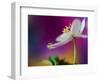 Color Drop Symphony-Heidi Westum-Framed Photographic Print