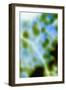 Color Drops II-Karyn Millet-Framed Photographic Print
