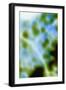 Color Drops II-Karyn Millet-Framed Photographic Print