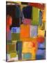 Color Essay with Orange-Kim Parker-Stretched Canvas