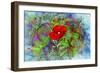 Color Explosion 13-Ata Alishahi-Framed Giclee Print