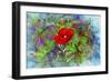 Color Explosion 13-Ata Alishahi-Framed Giclee Print