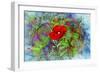 Color Explosion 13-Ata Alishahi-Framed Giclee Print