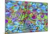 Color Explosion 15-Ata Alishahi-Mounted Giclee Print