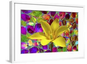 Color Explosion 16-Ata Alishahi-Framed Giclee Print