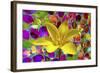 Color Explosion 16-Ata Alishahi-Framed Giclee Print