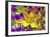 Color Explosion 16-Ata Alishahi-Framed Giclee Print