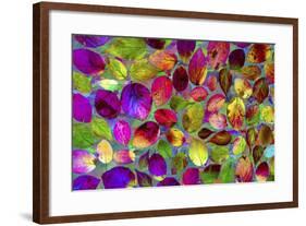 Color Explosion 17-Ata Alishahi-Framed Giclee Print