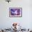 Color Explosion 8-Ata Alishahi-Framed Giclee Print displayed on a wall