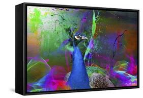 Color Explosion Cm7-Ata Alishahi-Framed Stretched Canvas