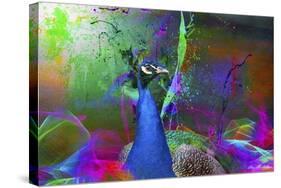 Color Explosion Cm7-Ata Alishahi-Stretched Canvas