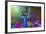 Color Explosion Cm7-Ata Alishahi-Framed Giclee Print