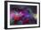 Color Explosion M9-Ata Alishahi-Framed Giclee Print