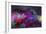 Color Explosion M9-Ata Alishahi-Framed Giclee Print