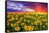 Color explosion-Marco Carmassi-Framed Stretched Canvas