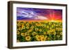 Color explosion-Marco Carmassi-Framed Photographic Print