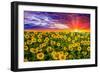 Color explosion-Marco Carmassi-Framed Photographic Print