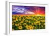 Color explosion-Marco Carmassi-Framed Photographic Print