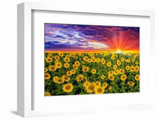 Color explosion-Marco Carmassi-Framed Photographic Print