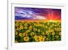 Color explosion-Marco Carmassi-Framed Photographic Print