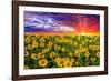 Color explosion-Marco Carmassi-Framed Photographic Print