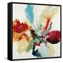 Color Expression-Randy Hibberd-Framed Stretched Canvas