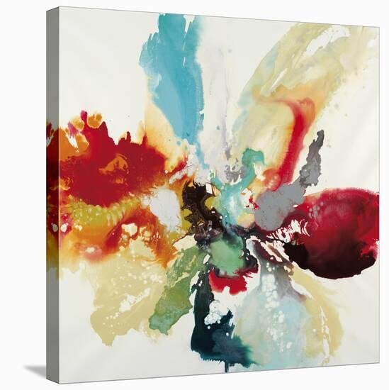 Color Expression-Randy Hibberd-Stretched Canvas