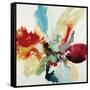 Color Expression-Randy Hibberd-Framed Stretched Canvas