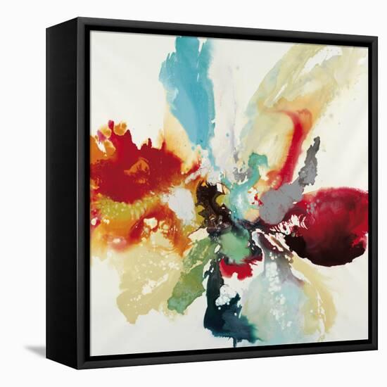 Color Expression-Randy Hibberd-Framed Stretched Canvas