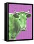 Color Farm I-Regina Moore-Framed Stretched Canvas