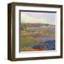 Color Field 24-Jane Schmidt-Framed Art Print