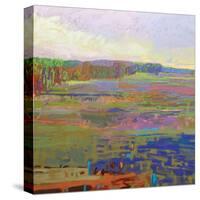Color Field 24-Jane Schmidt-Stretched Canvas