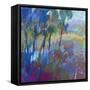 Color Field 44-Jane Schmidt-Framed Stretched Canvas