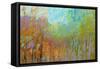 Color Field 55-Jane Schmidt-Framed Stretched Canvas