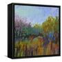 Color Field 62-Jane Schmidt-Framed Stretched Canvas