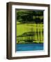 Color Field F-GI ArtLab-Framed Giclee Print