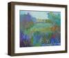 Color Field No. 67-Jane Schmidt-Framed Art Print